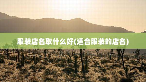 服装店名取什么好(适合服装的店名)