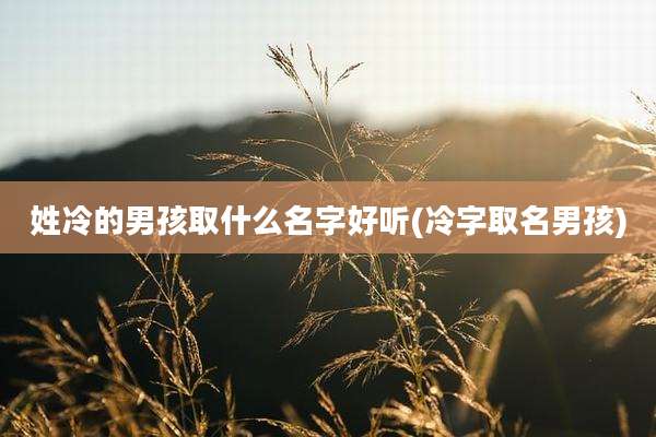 姓冷的男孩取什么名字好听(冷字取名男孩)