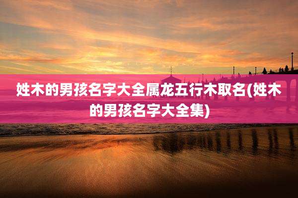 姓木的男孩名字大全属龙五行木取名(姓木的男孩名字大全集)