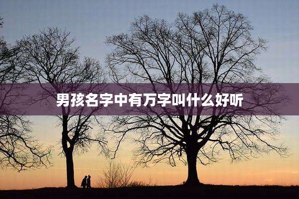 男孩名字中有万字叫什么好听