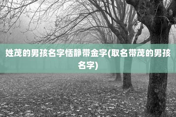 姓茂的男孩名字恬静带金字(取名带茂的男孩名字)