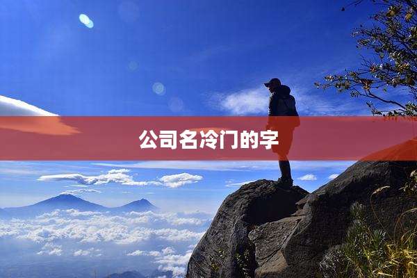 公司名冷门的字
