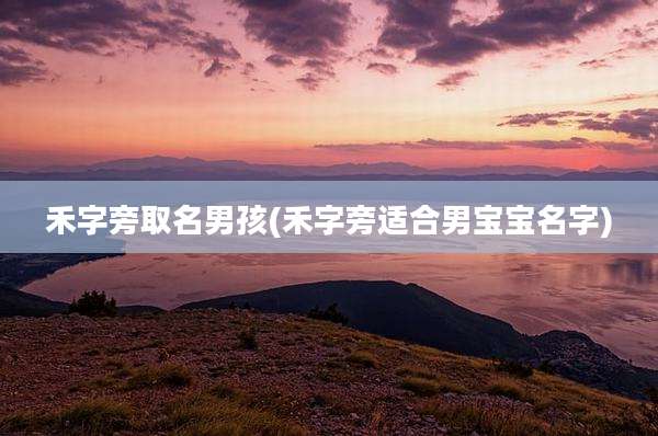 禾字旁取名男孩(禾字旁适合男宝宝名字)