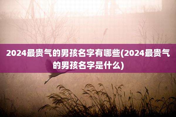 2024最贵气的男孩名字有哪些(2024最贵气的男孩名字是什么)