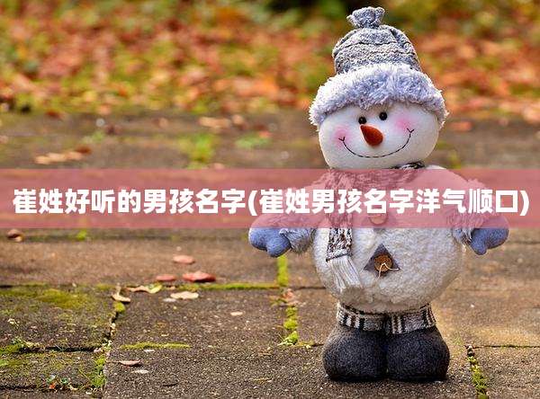 崔姓好听的男孩名字(崔姓男孩名字洋气顺口)