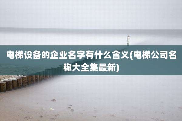 电梯设备的企业名字有什么含义(电梯公司名称大全集最新)