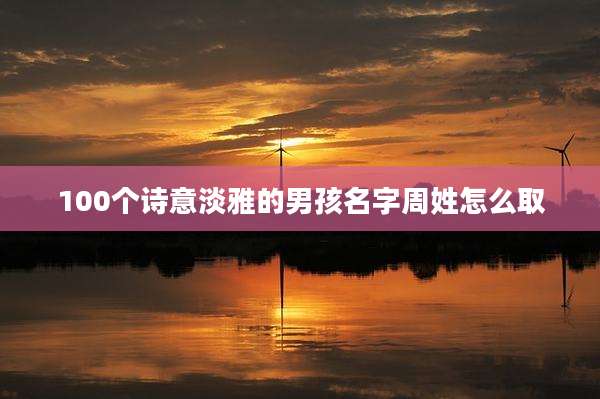 100个诗意淡雅的男孩名字周姓怎么取