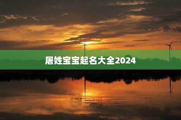 屠姓宝宝起名大全2024