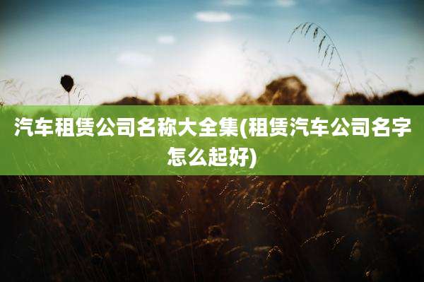 汽车租赁公司名称大全集(租赁汽车公司名字怎么起好)