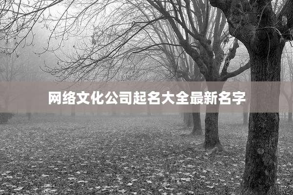 网络文化公司起名大全最新名字
