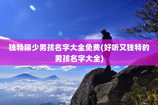独特稀少男孩名字大全免费(好听又独特的男孩名字大全)