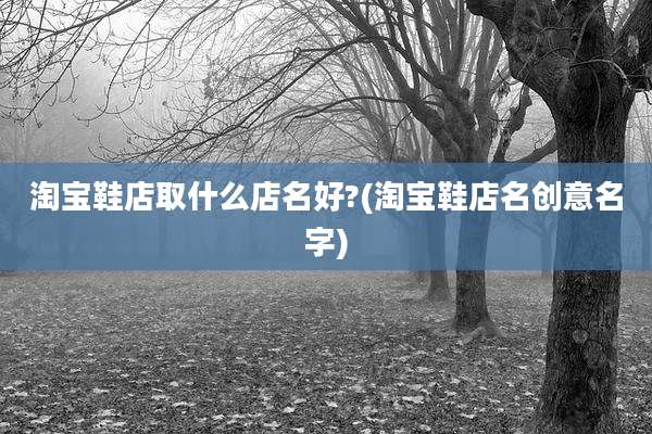 淘宝鞋店取什么店名好?(淘宝鞋店名创意名字)