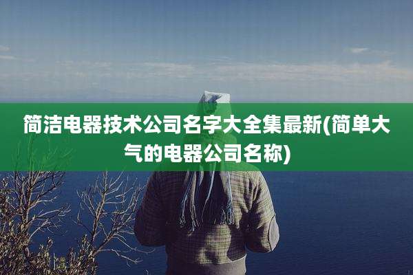 简洁电器技术公司名字大全集最新(简单大气的电器公司名称)
