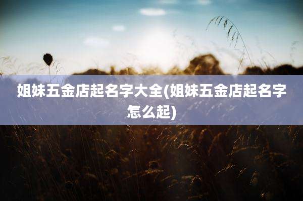 姐妹五金店起名字大全(姐妹五金店起名字怎么起)