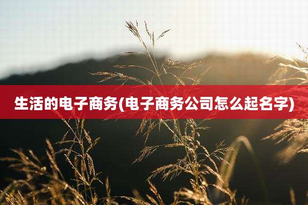 生活的电子商务(电子商务公司怎么起名字)