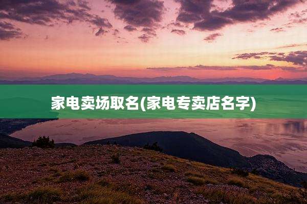 家电卖场取名(家电专卖店名字)