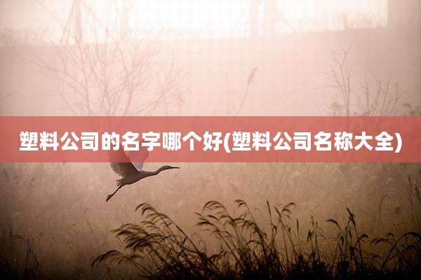 塑料公司的名字哪个好(塑料公司名称大全)