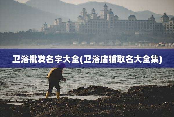 卫浴批发名字大全(卫浴店铺取名大全集)
