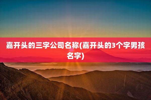 嘉开头的三字公司名称(嘉开头的3个字男孩名字)