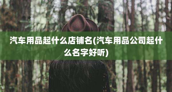 汽车用品起什么店铺名(汽车用品公司起什么名字好听)