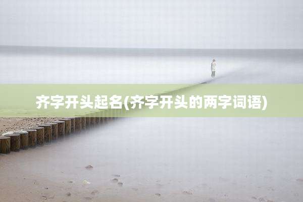 齐字开头起名(齐字开头的两字词语)
