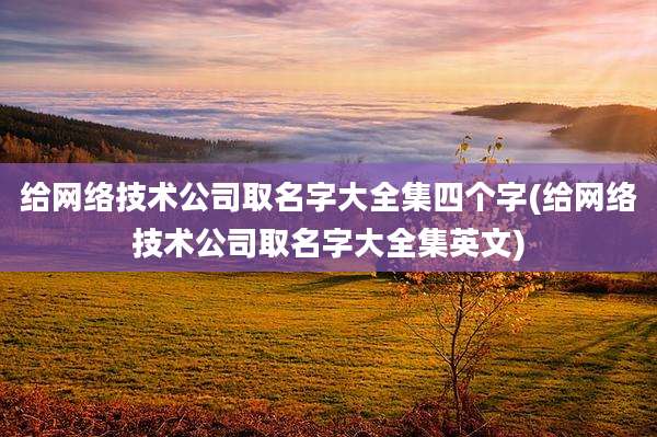 给网络技术公司取名字大全集四个字(给网络技术公司取名字大全集英文)