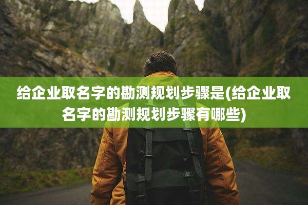 给企业取名字的勘测规划步骤是(给企业取名字的勘测规划步骤有哪些)