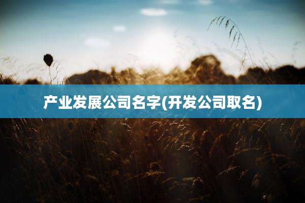 产业发展公司名字(开发公司取名)