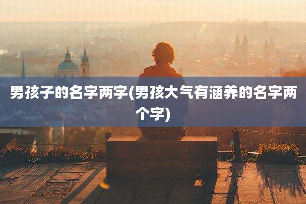 男孩子的名字两字(男孩大气有涵养的名字两个字)