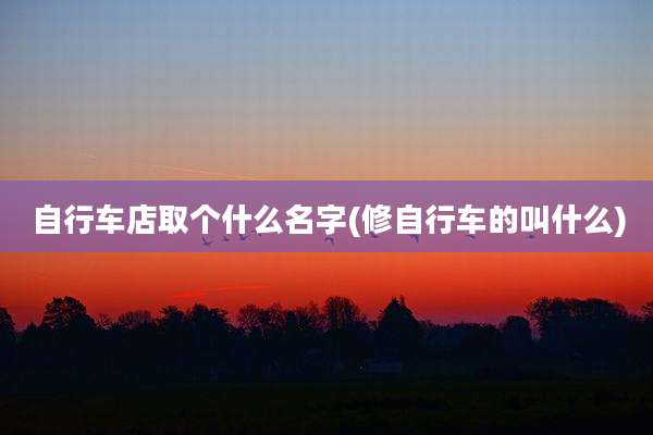 自行车店取个什么名字(修自行车的叫什么)