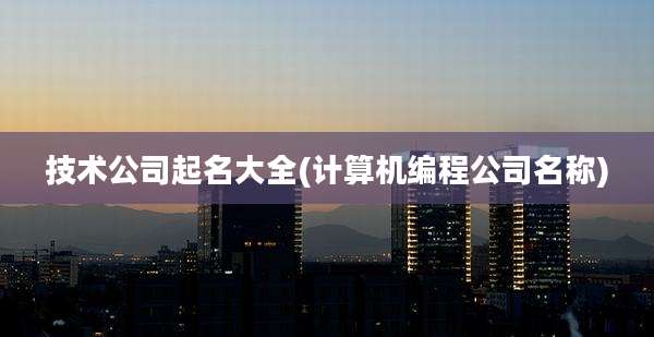 技术公司起名大全(计算机编程公司名称)