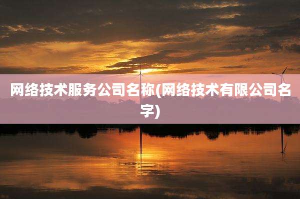 网络技术服务公司名称(网络技术有限公司名字)