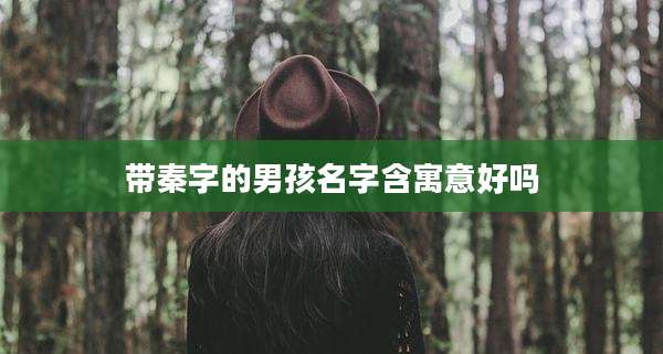 带秦字的男孩名字含寓意好吗