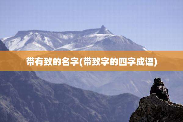 带有致的名字(带致字的四字成语)