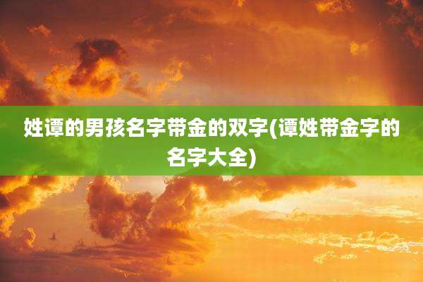 姓谭的男孩名字带金的双字(谭姓带金字的名字大全)