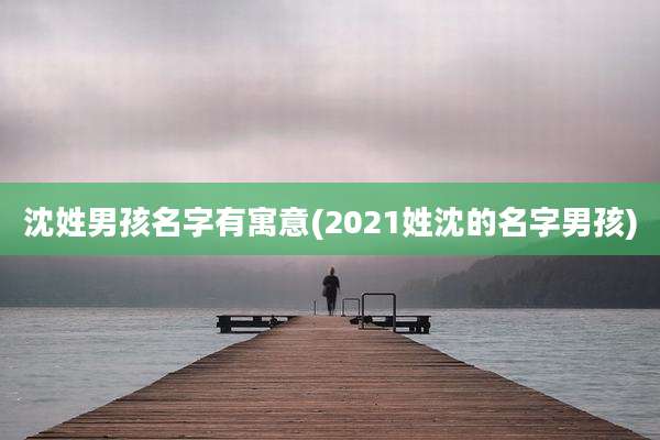 沈姓男孩名字有寓意(2021姓沈的名字男孩)