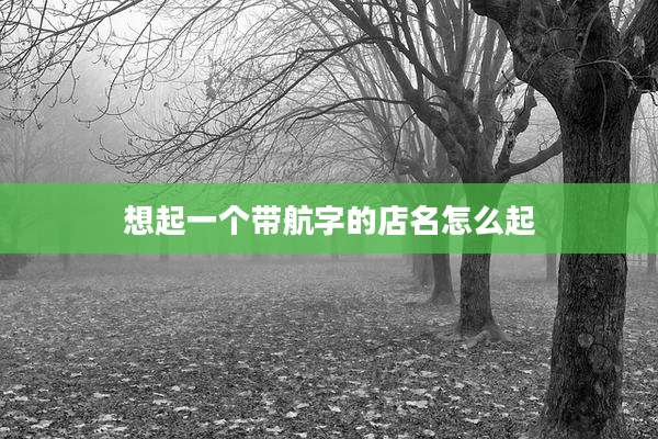 想起一个带航字的店名怎么起