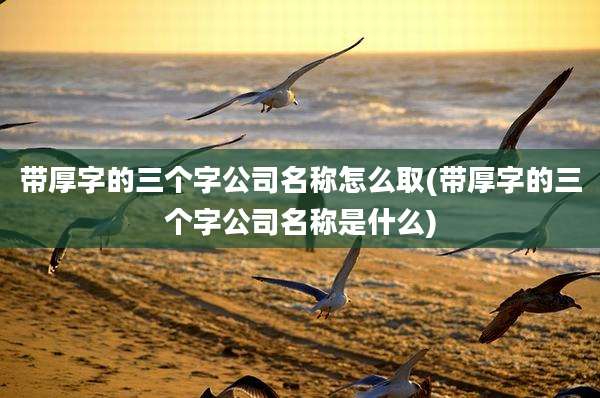带厚字的三个字公司名称怎么取(带厚字的三个字公司名称是什么)