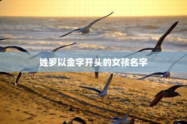 姓罗以金字开头的女孩名字