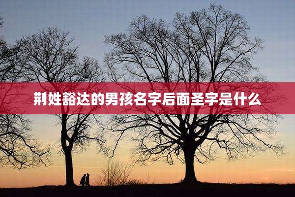 荆姓豁达的男孩名字后面圣字是什么