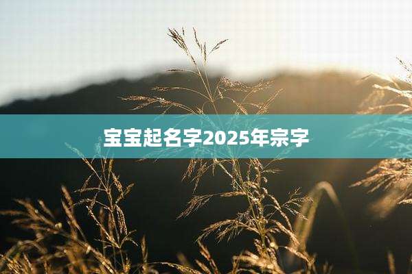 宝宝起名字2025年宗字