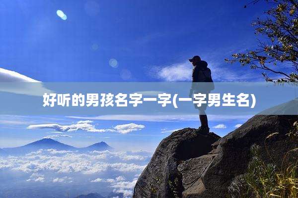 好听的男孩名字一字(一字男生名)