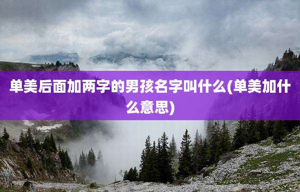 单美后面加两字的男孩名字叫什么(单美加什么意思)