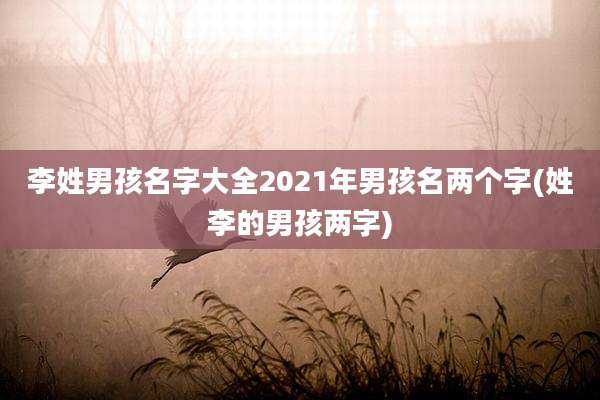 李姓男孩名字大全2021年男孩名两个字(姓李的男孩两字)