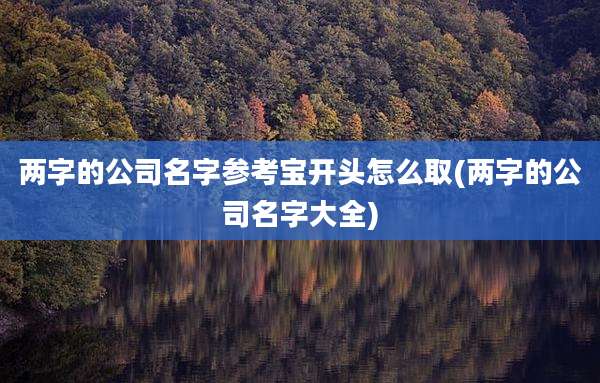 两字的公司名字参考宝开头怎么取(两字的公司名字大全)