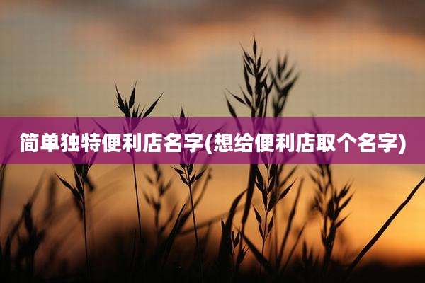 简单独特便利店名字(想给便利店取个名字)