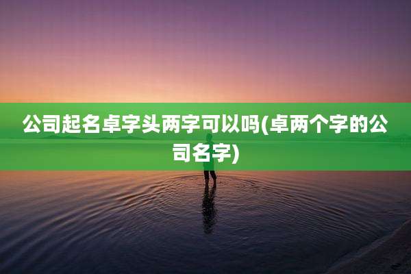 公司起名卓字头两字可以吗(卓两个字的公司名字)
