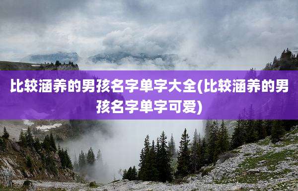 比较涵养的男孩名字单字大全(比较涵养的男孩名字单字可爱)