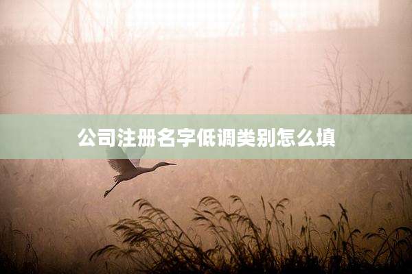 公司注册名字低调类别怎么填