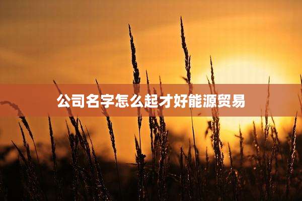 公司名字怎么起才好能源贸易